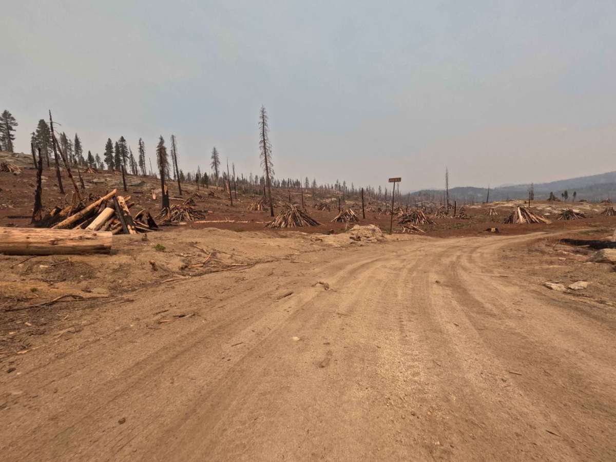 Lower Tamarack - FS 9s026 photo 2