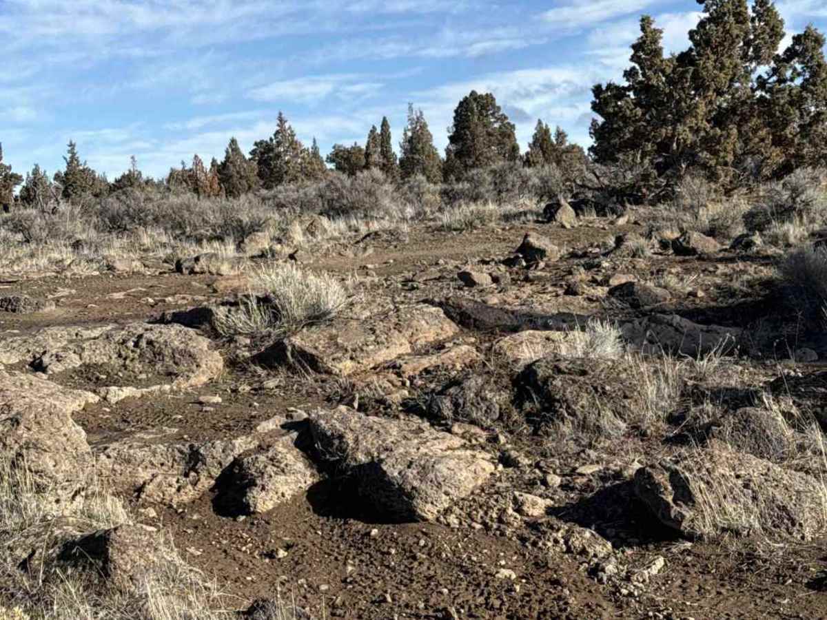 Millican Plateau OHV Trail 17 photo 4