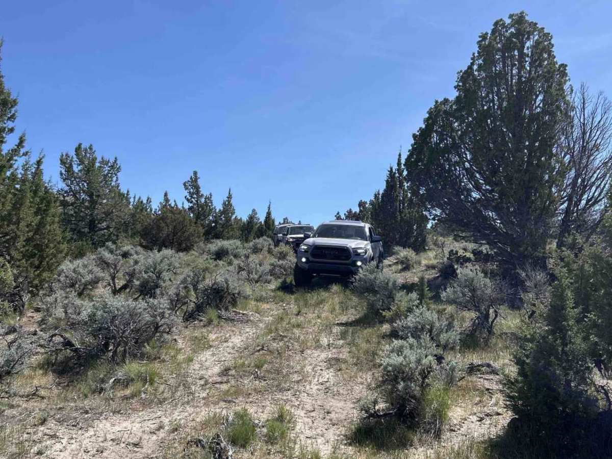 Seven Lakes Mountain Trail photo 6