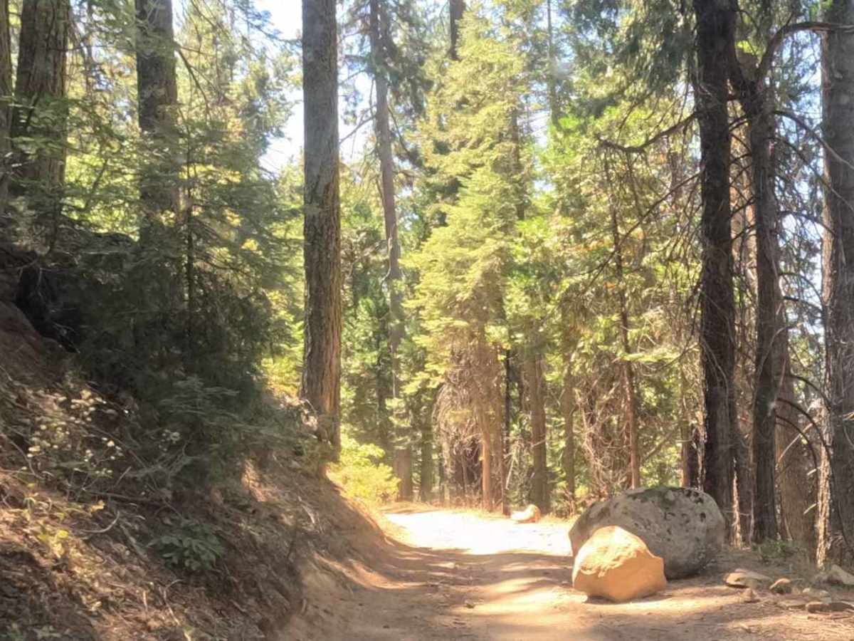 Ten Mile Grade - FS 4S004 trail photo