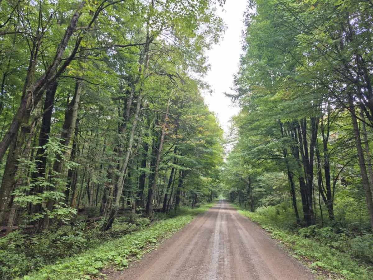 Smith Road trail photo