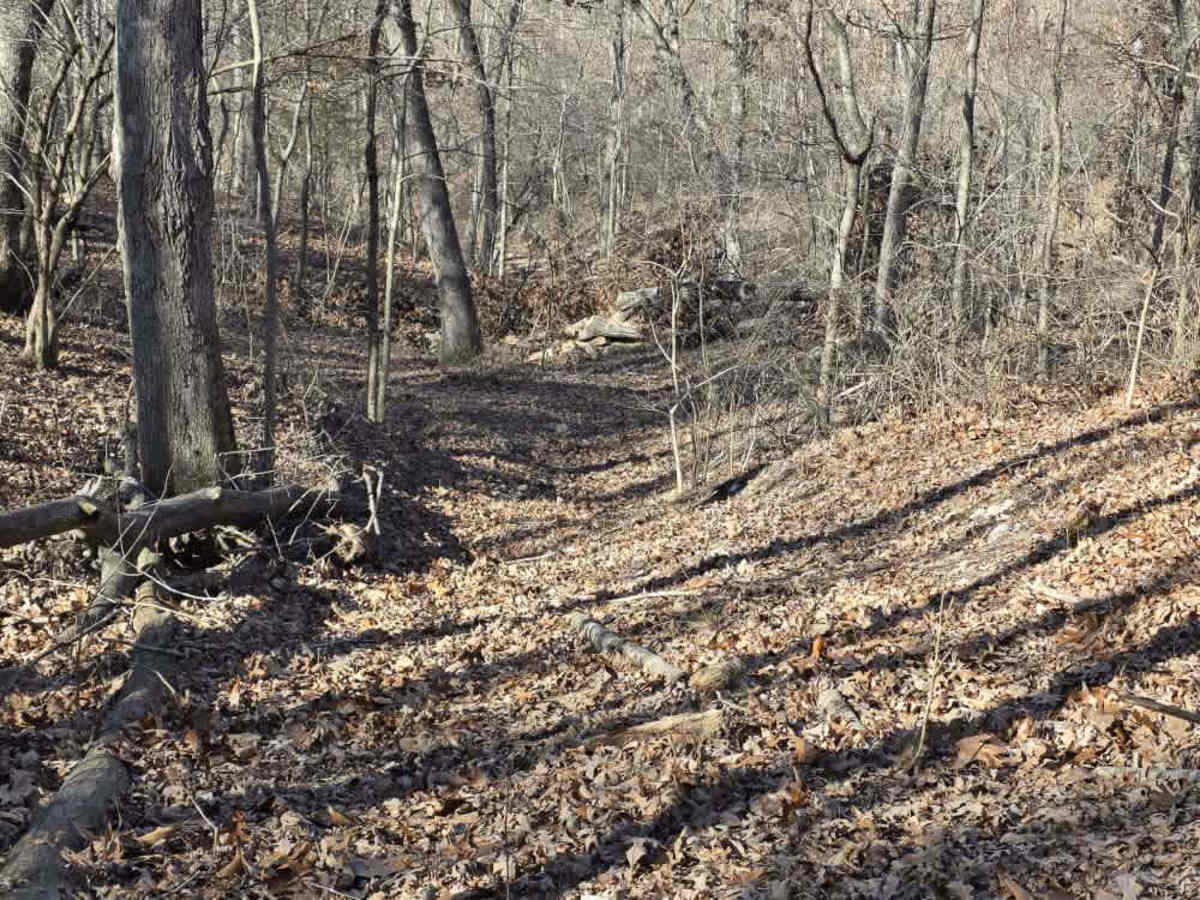 Tire Killer  trail photo