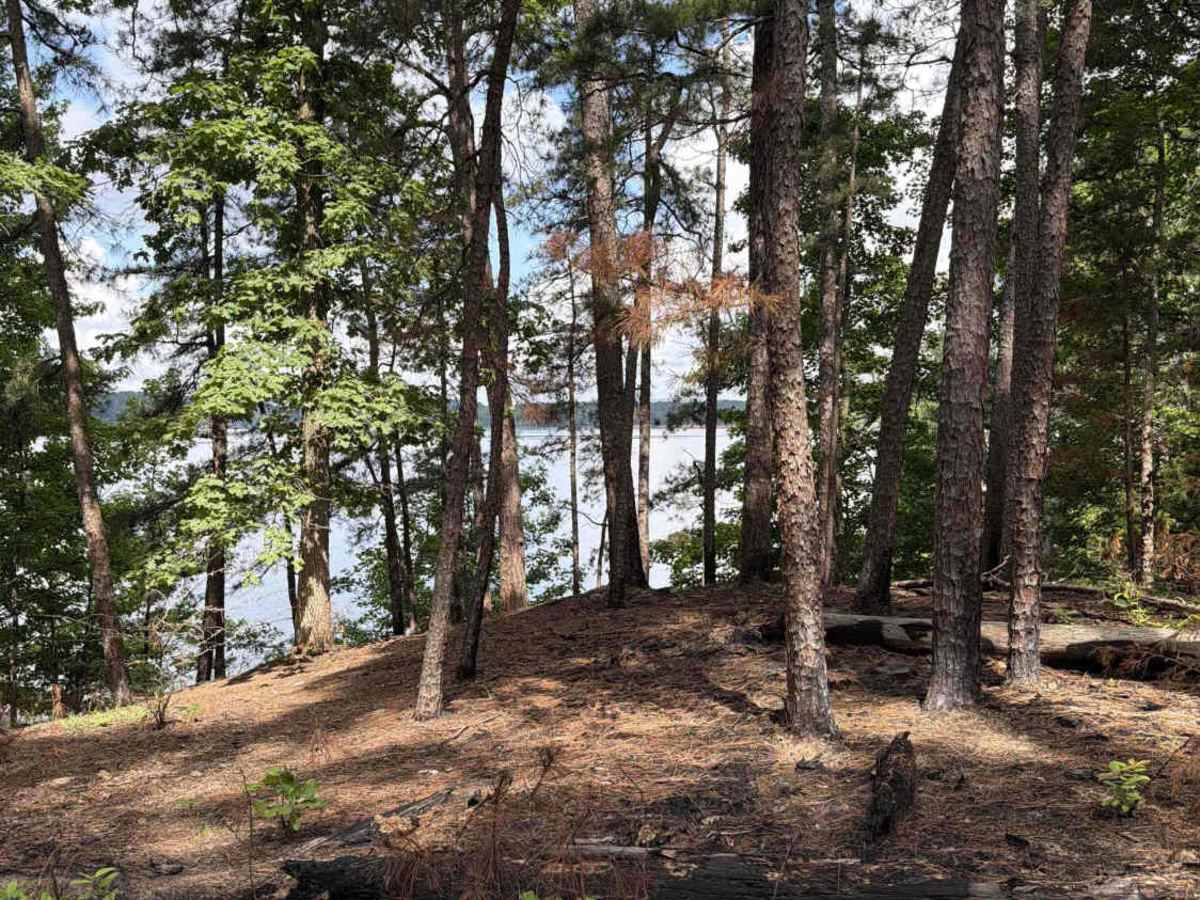 Lake Point Trail  photo 3