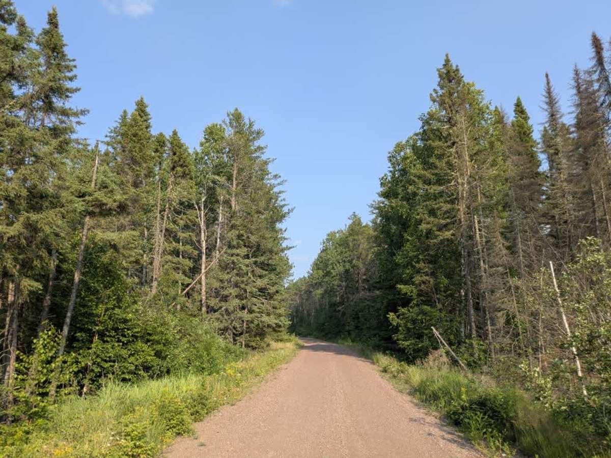 Two Moose Trail trail photo