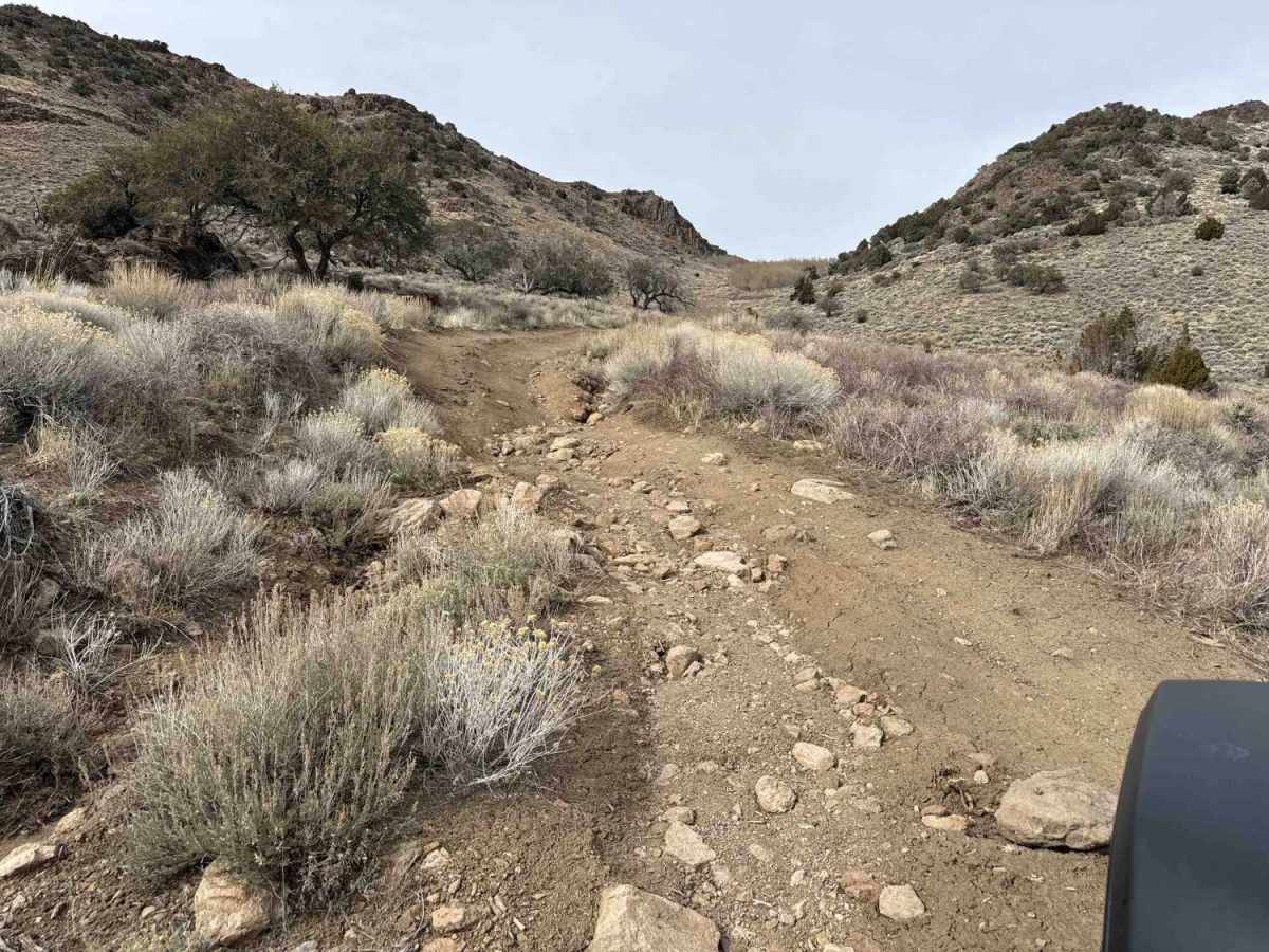 Campbell & Smith Creek Jeep Trail photo 3