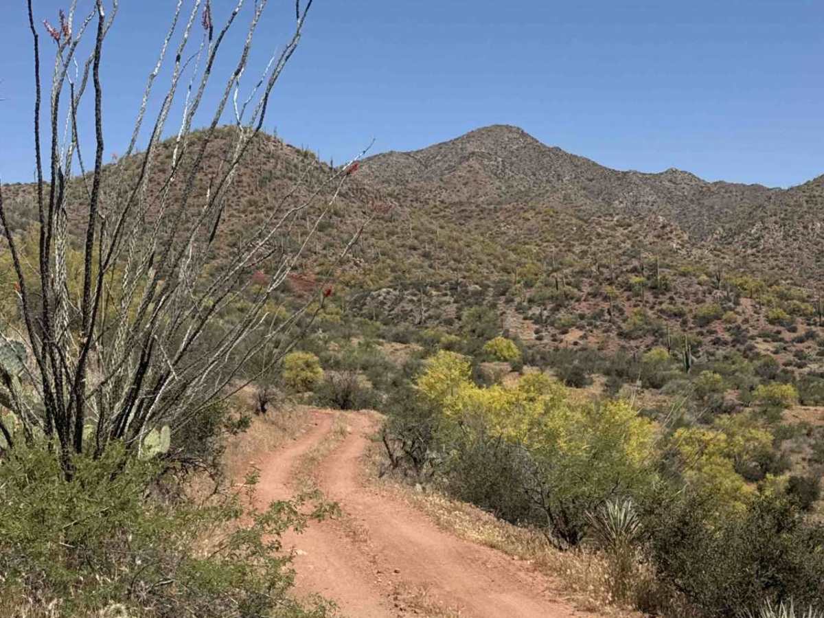 Castle Creek Road Copperopolis  photo 6