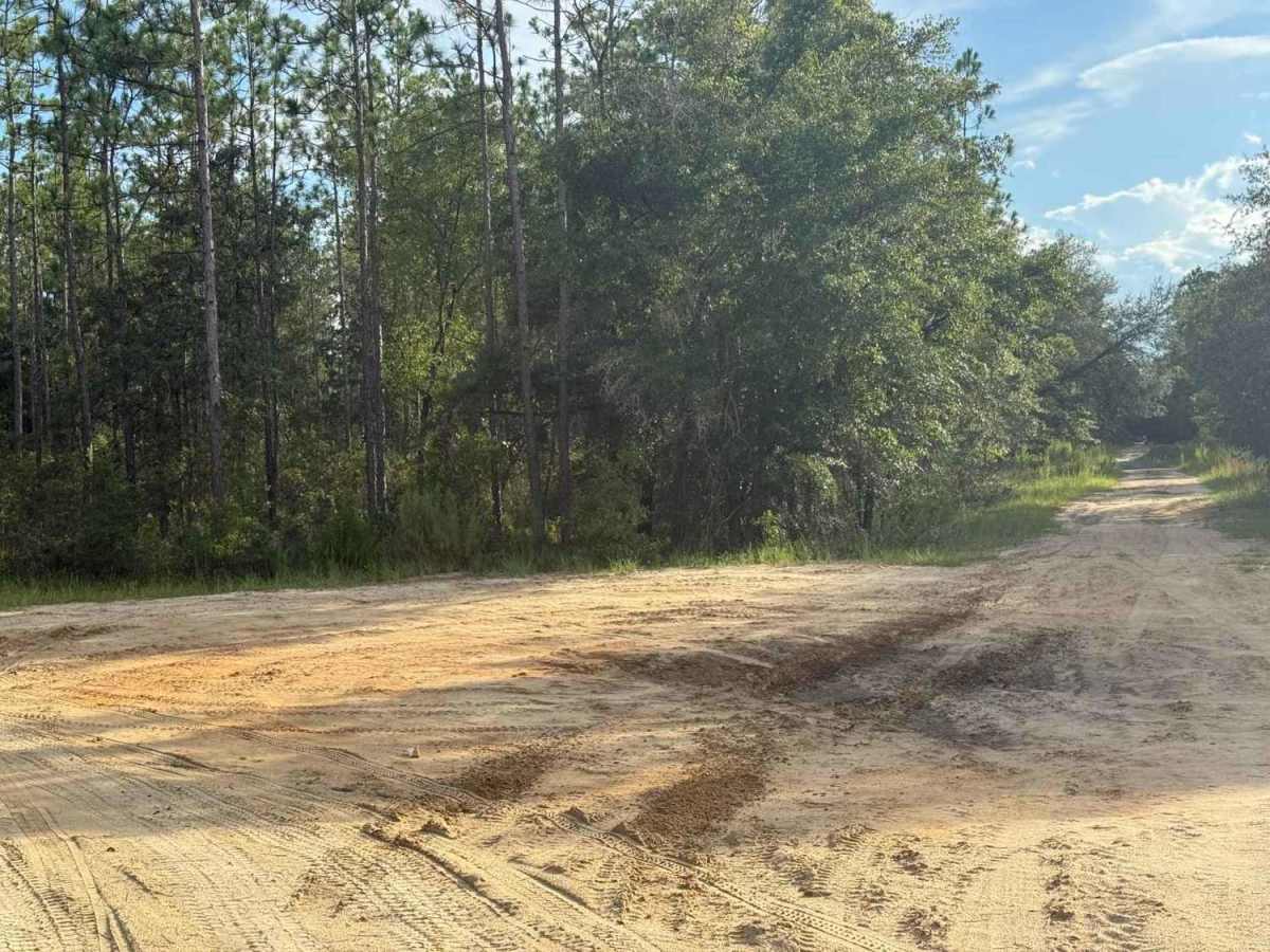 Camp Branch Road photo 2
