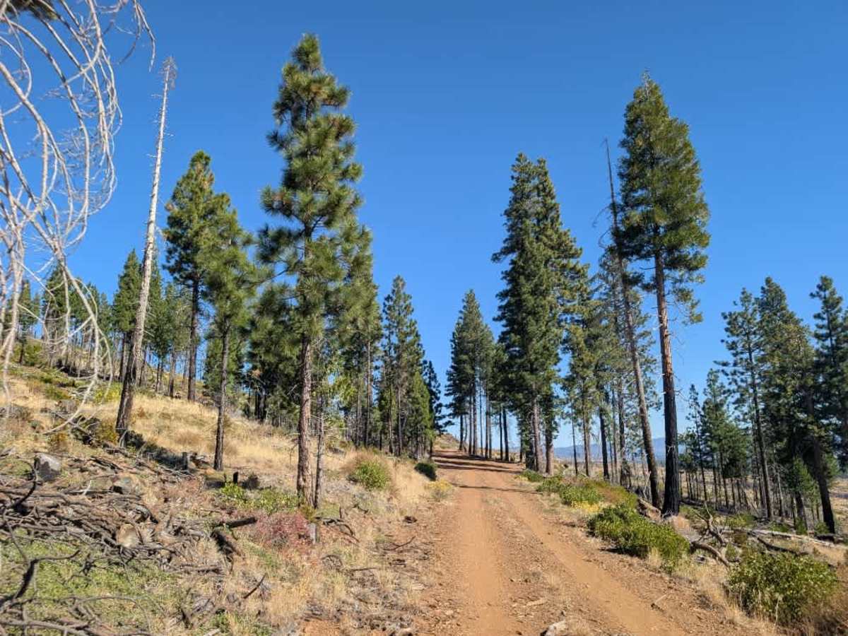 FS 33N21B, California | Off-Road Trail Maps, Difficulty, Trail Status ...