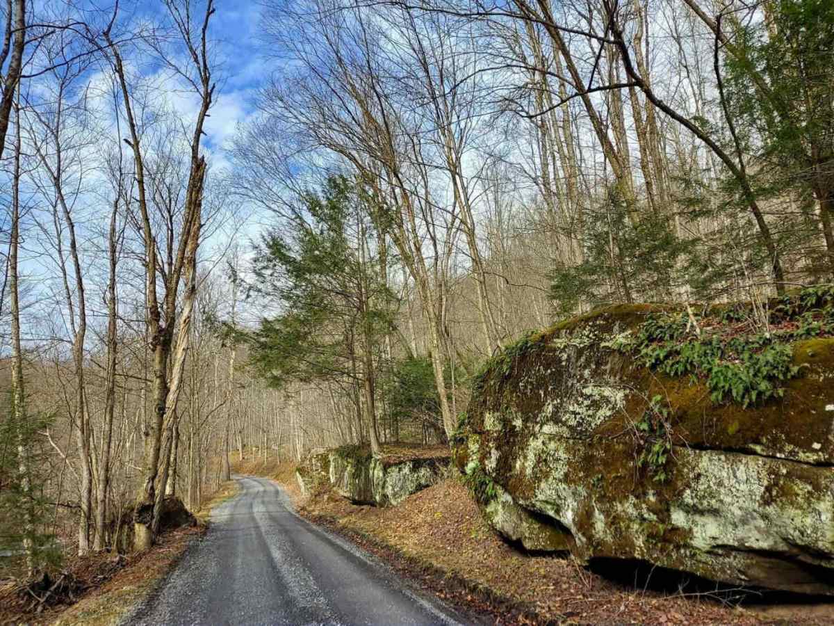 East Hicks Run Road photo 6