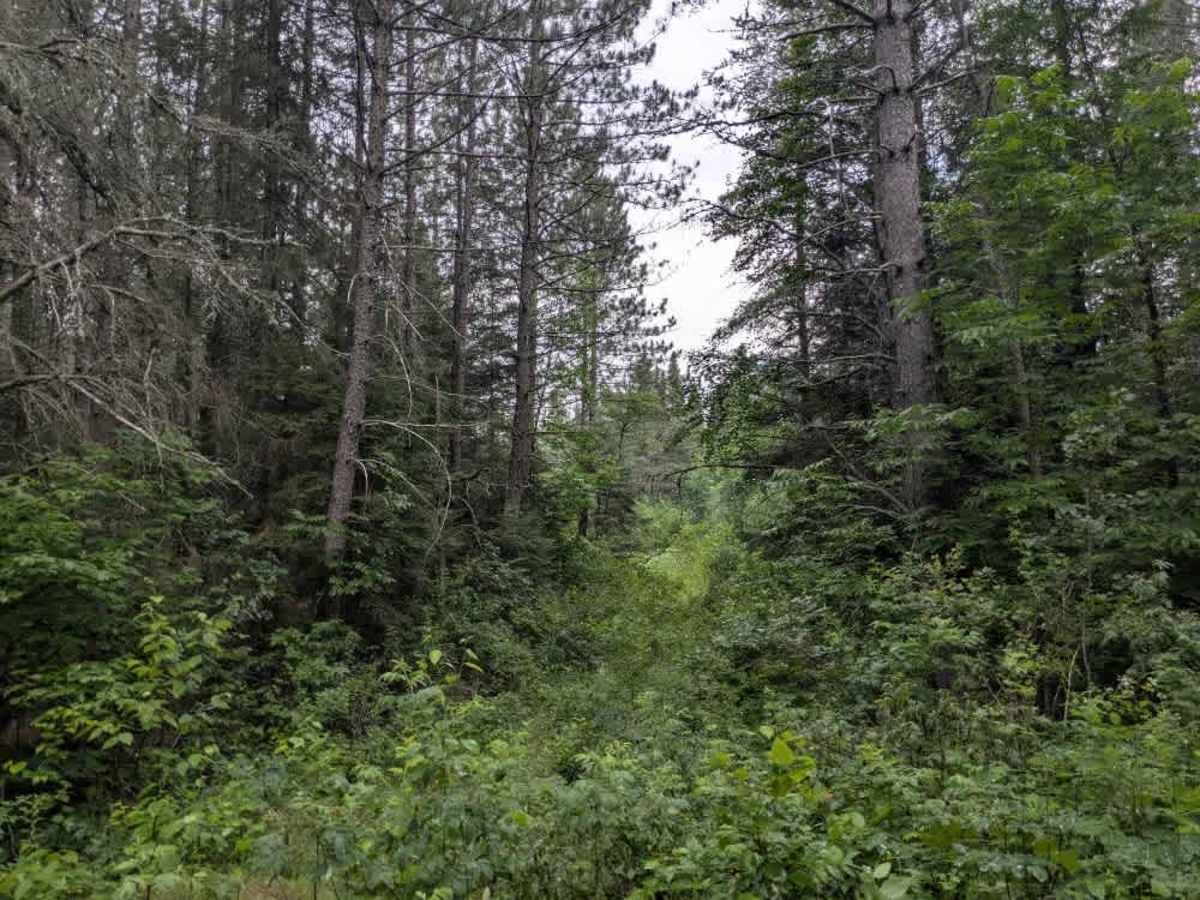 August Creek  photo 6