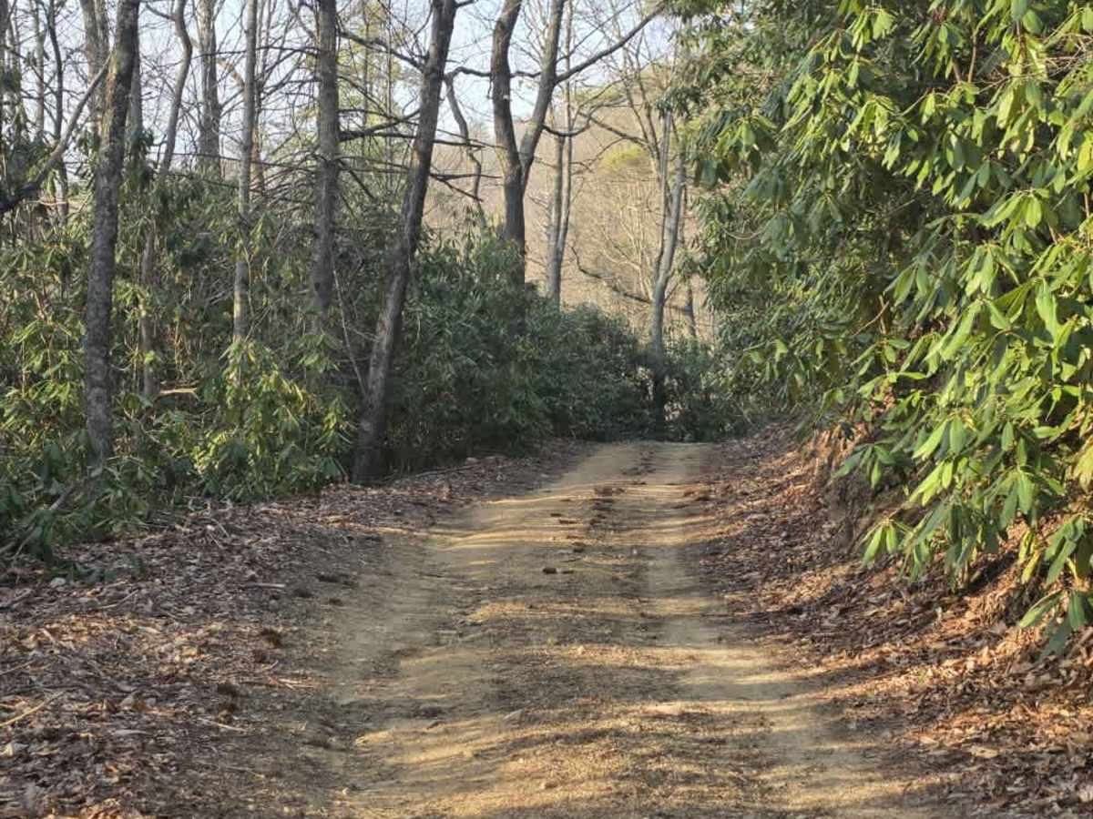 Laurel Mountain / White Rock photo 5