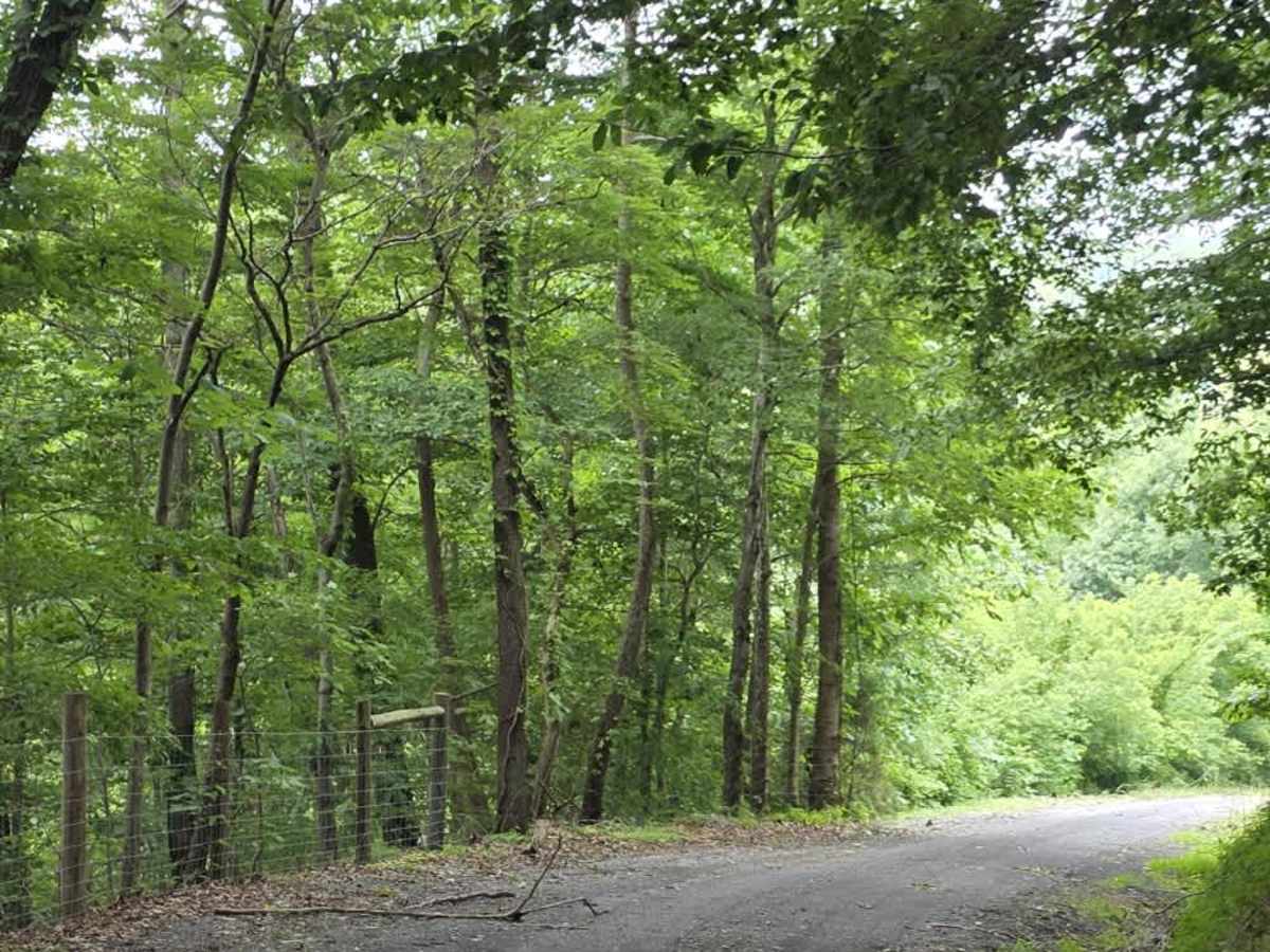 Holland Road - Macon County Tour photo 4