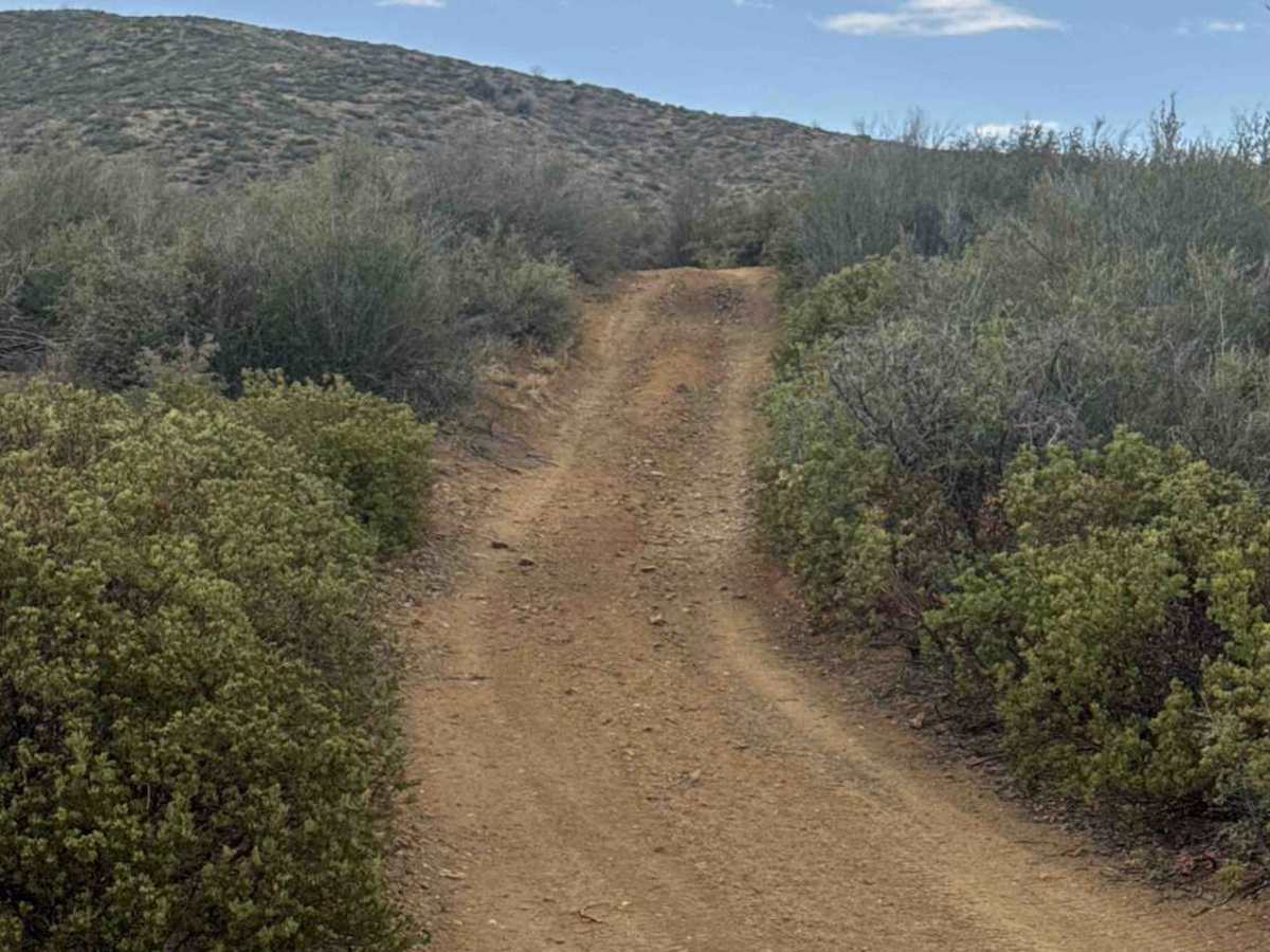 Bradshaw Trail - FS 9222C photo 6