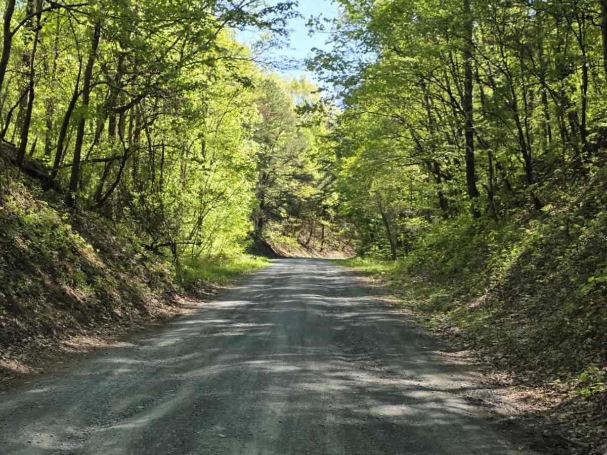 Flatwoods Road photo 2