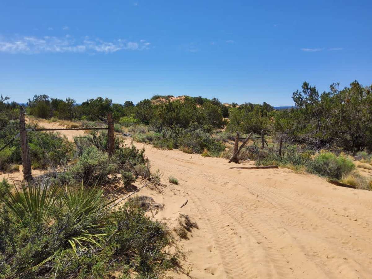 BLM 106E photo 3