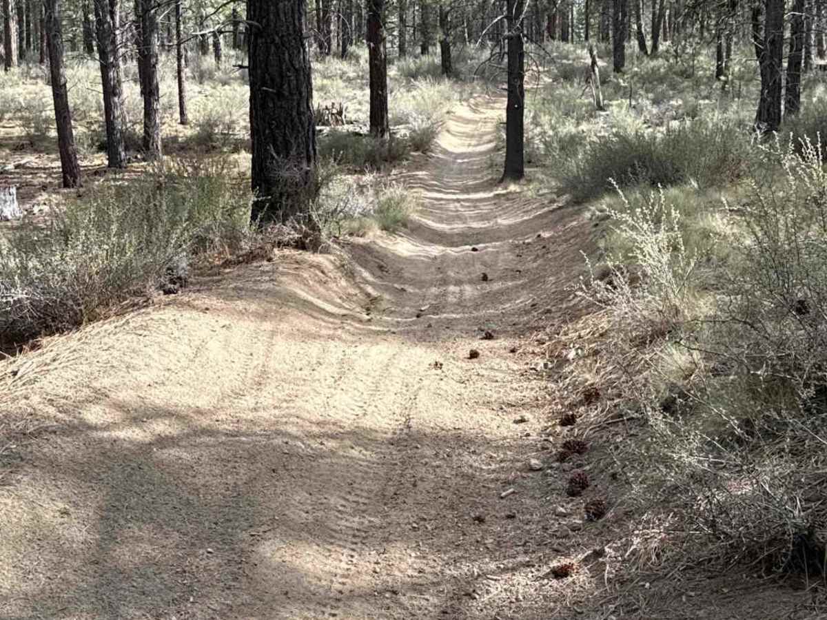 East Fort Rock - OHV Trail 9030 photo 4