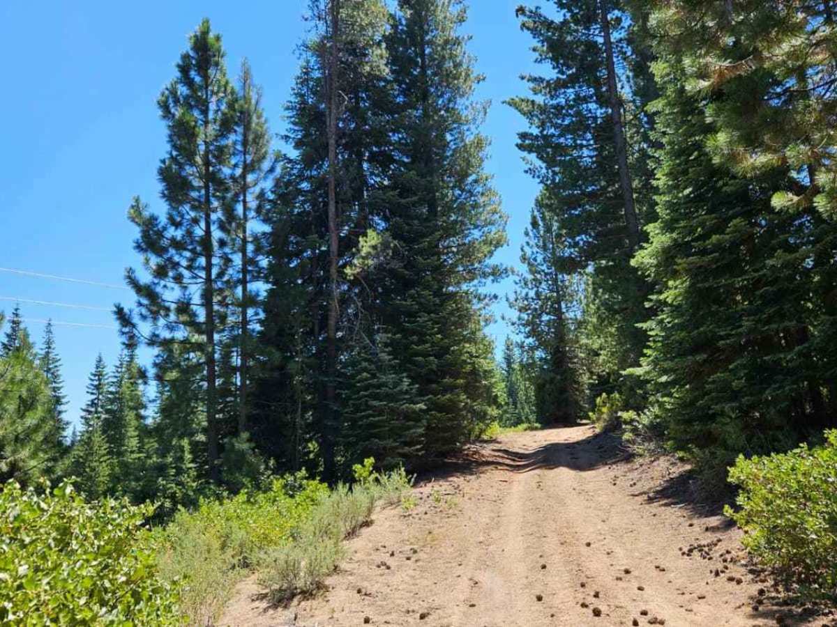 Powerline Road photo 5