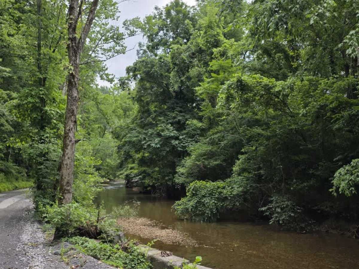 Puncheon Creek Road - Macon County Tour photo 5