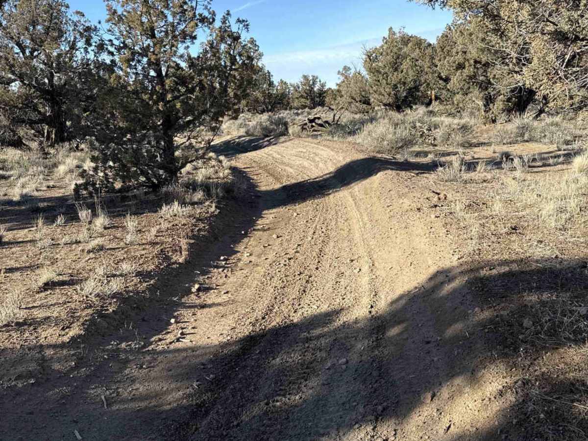 Millican Plateau OHV Trail 86 photo 3