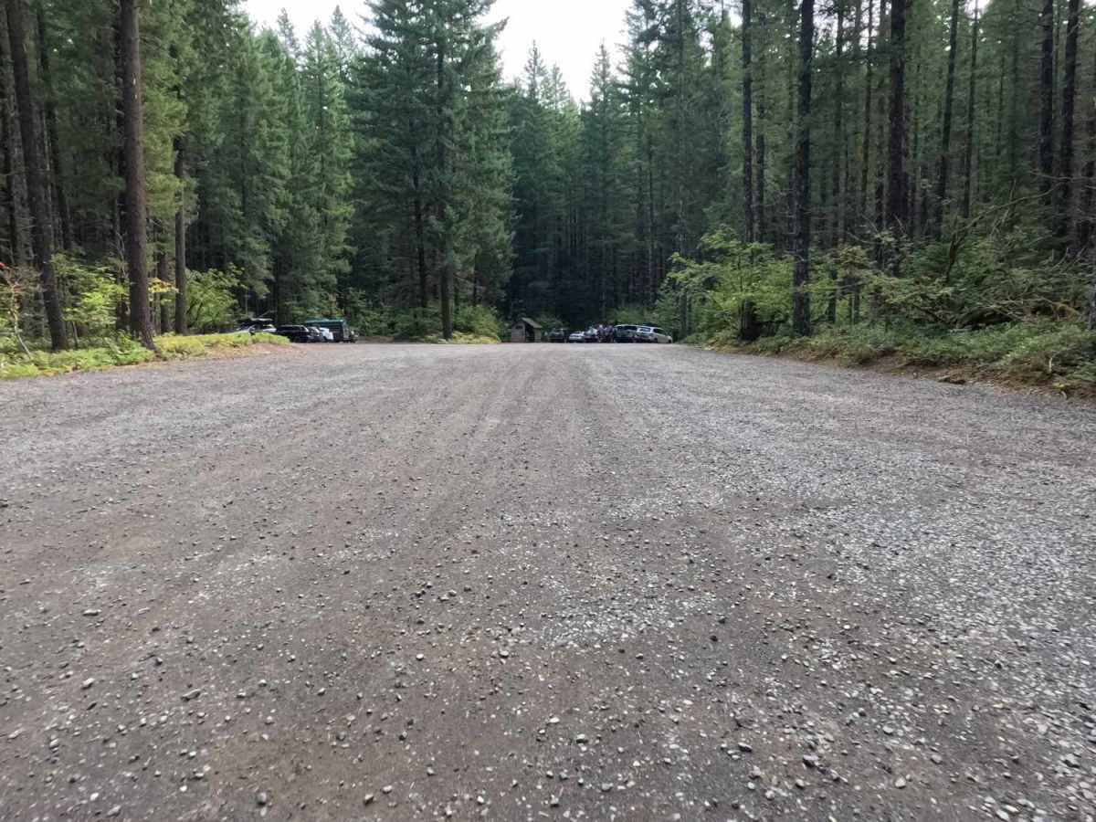 Ninemile Creek - FS 3062000 trail photo