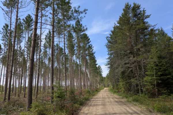 Spina Trail
