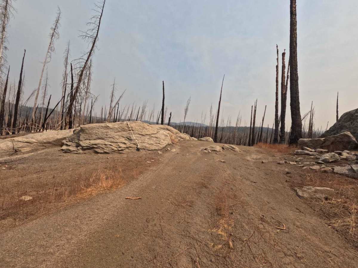 South Tam Trail - FS 25E306 photo 2