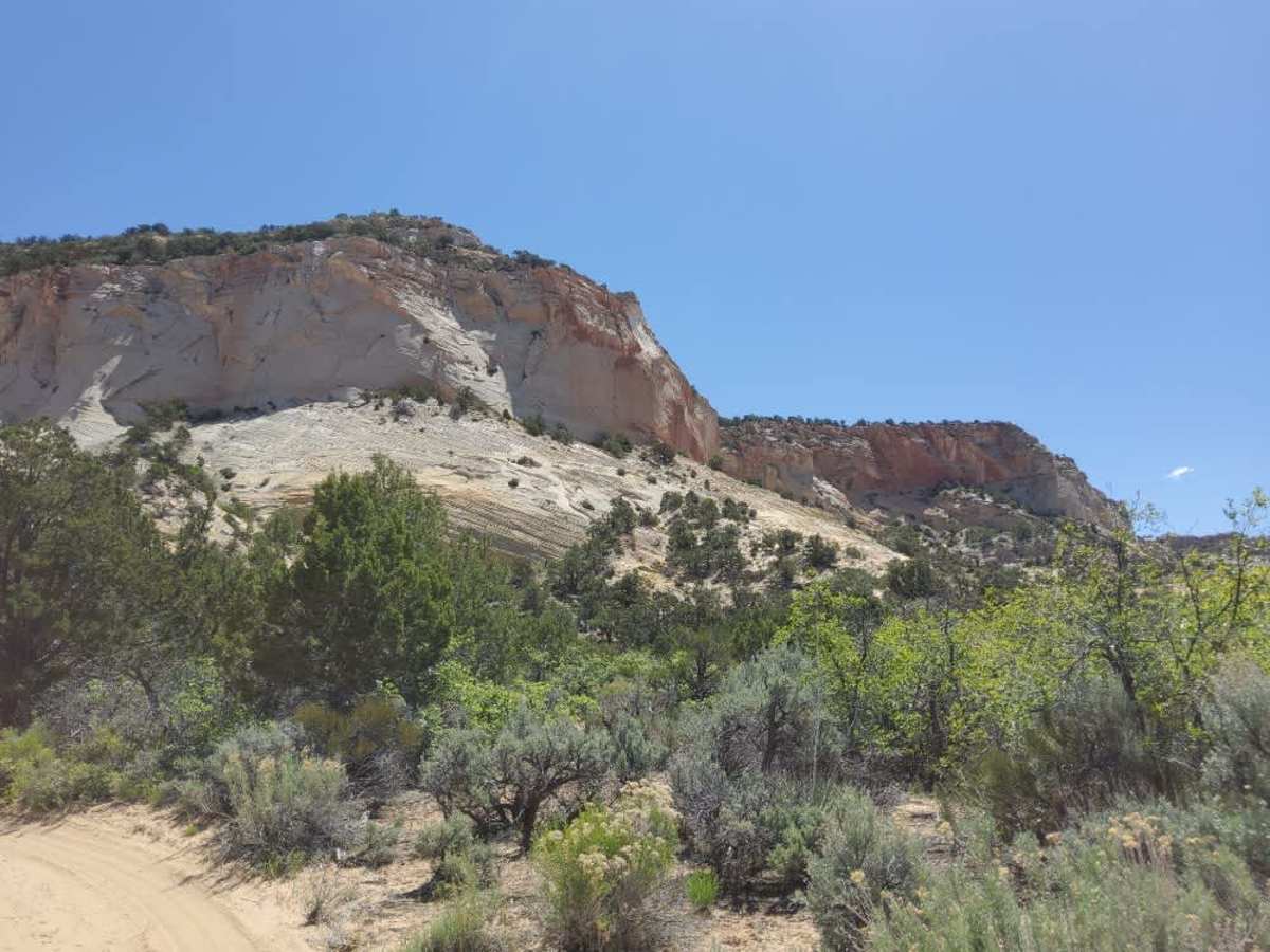 BLM 106Q trail photo