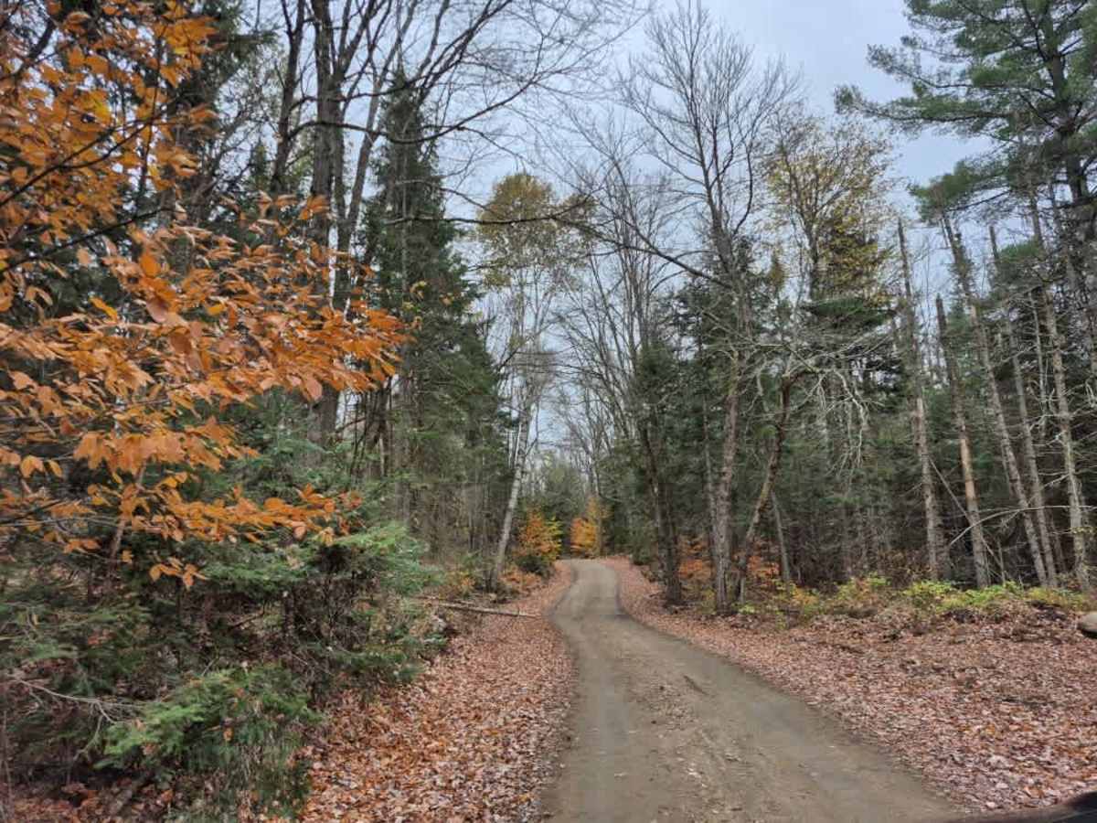 Hatchery Brook Road trail photo