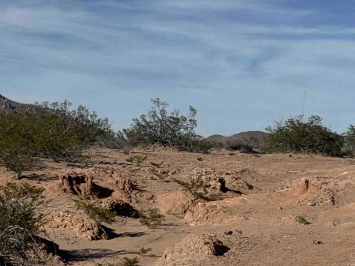 Ss1104 trail photo