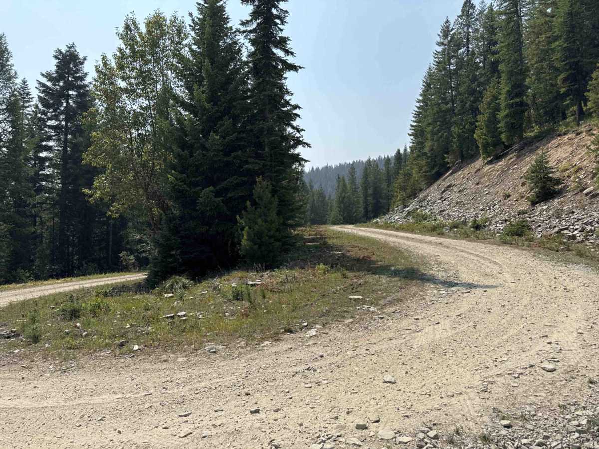 Rivers Creek - FS 3820 photo 4