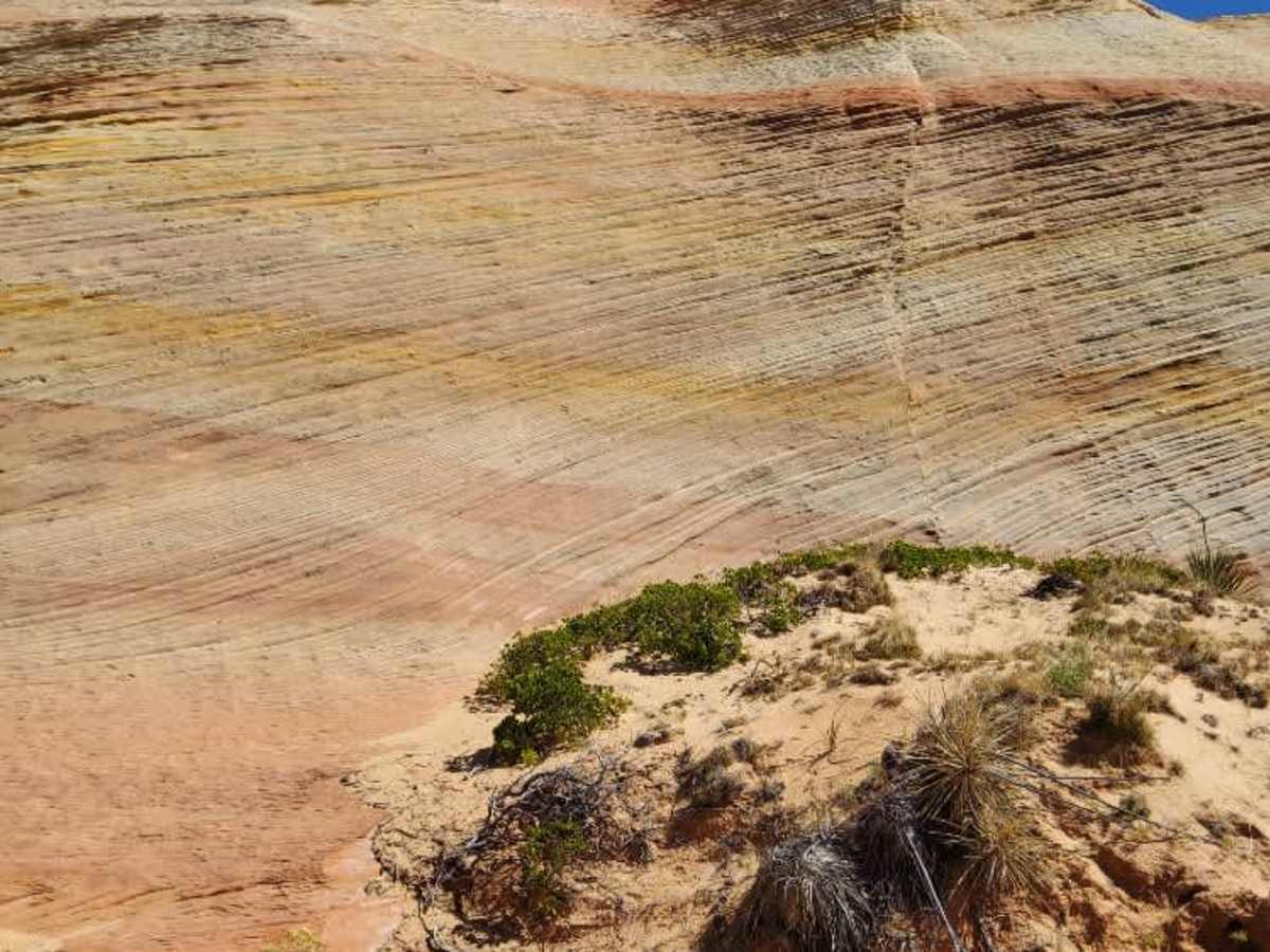 BLM 106E photo 2