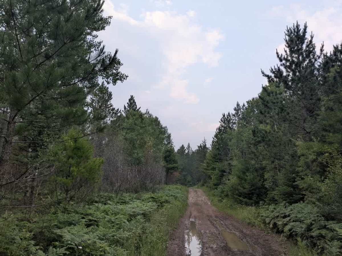 FS 177A trail photo