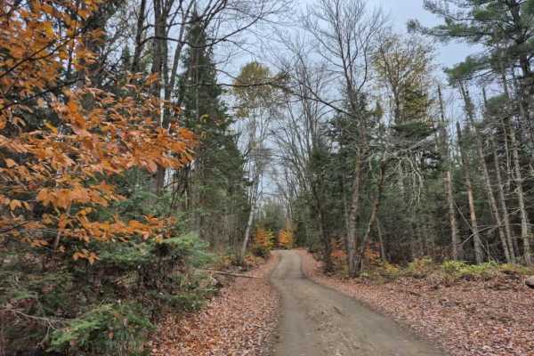 Hatchery Brook Road
