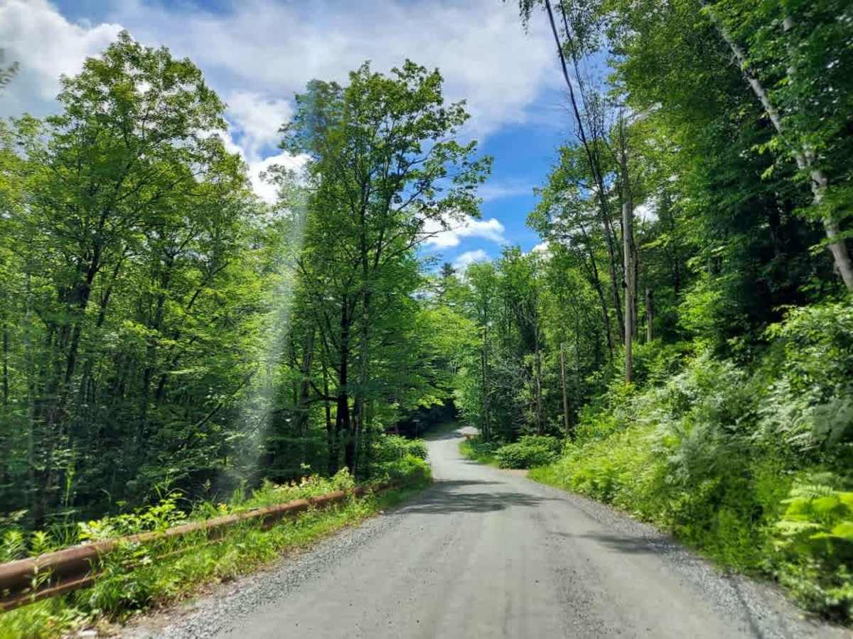 Curtis Hollow Road photo 3