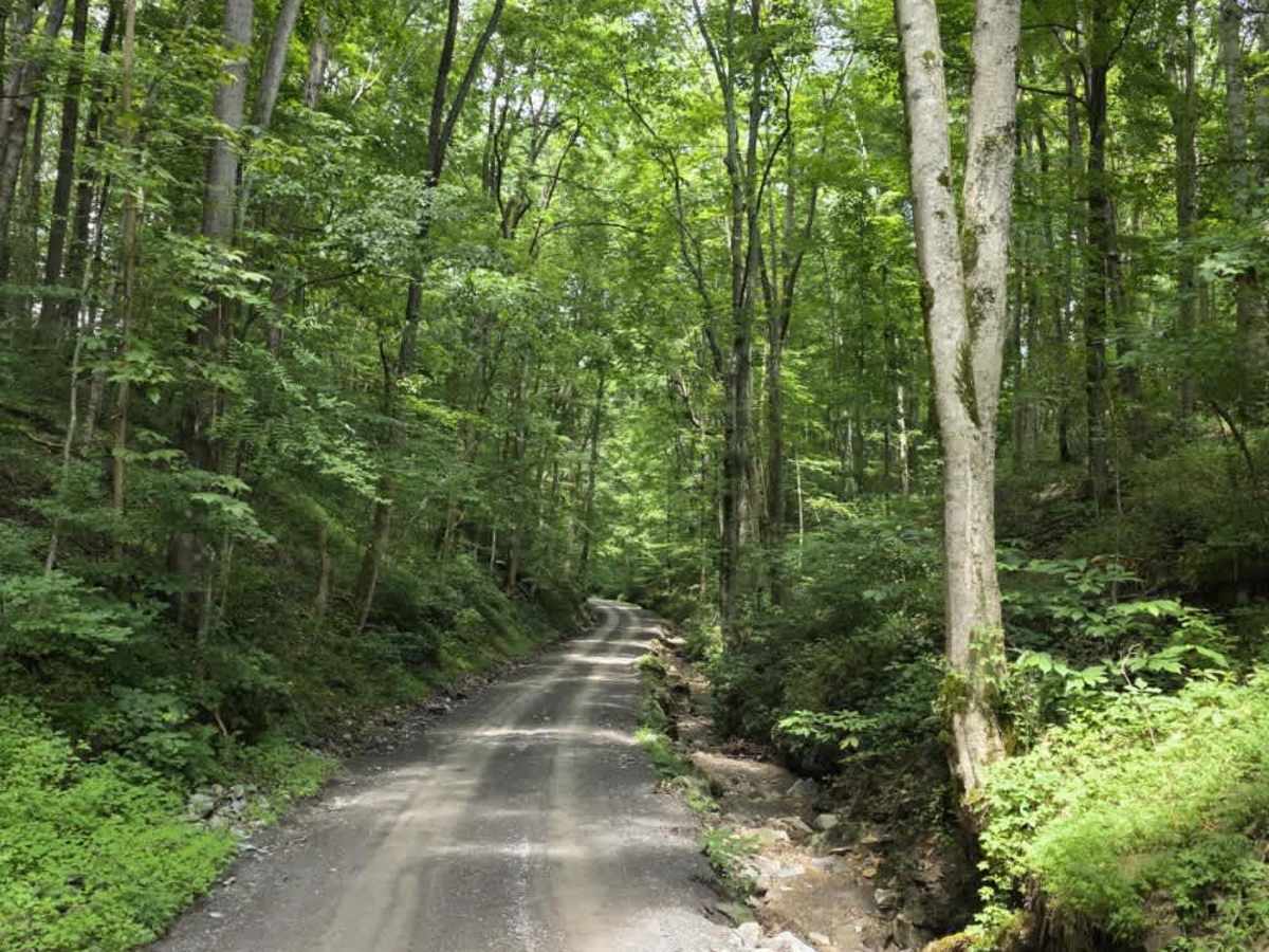 Highland Road - Macon County Tour photo 2