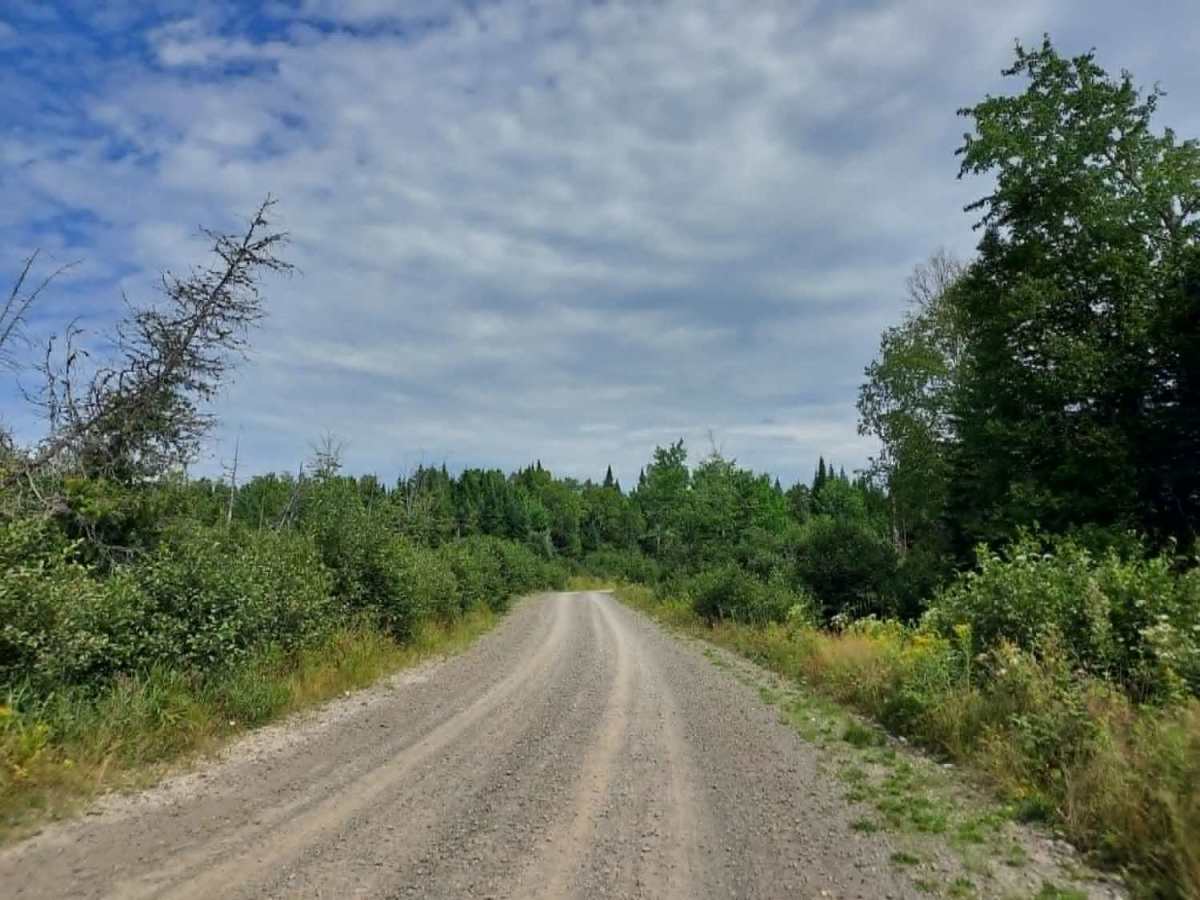 Harvey Siding Road photo 5