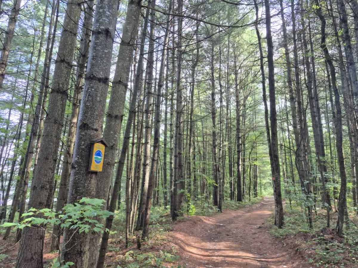 Little Otter Creek Road photo 3