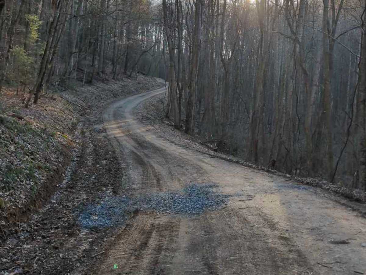 Government Road - FS 43 trail photo