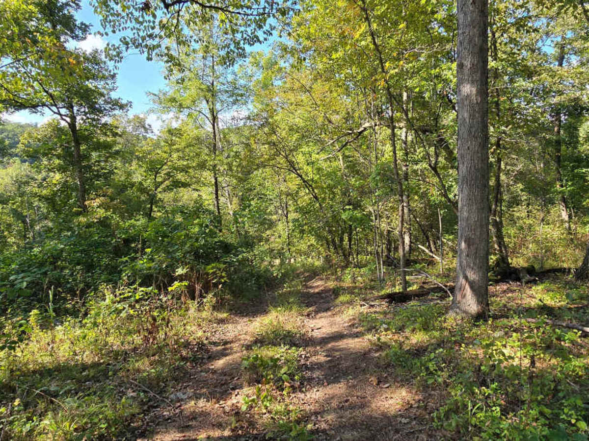 Turkey Ridge photo 3