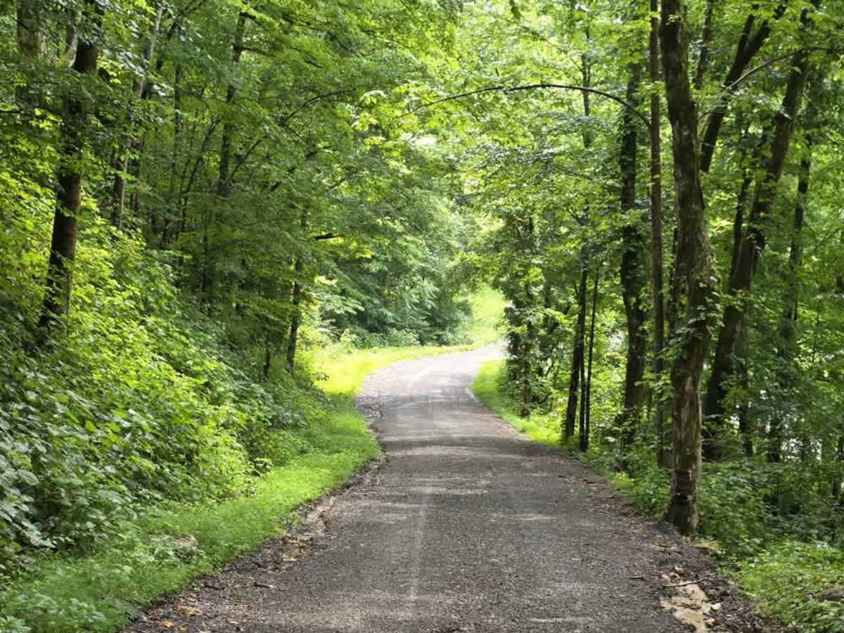 Beech Grove Road - Macon County Tour photo 2