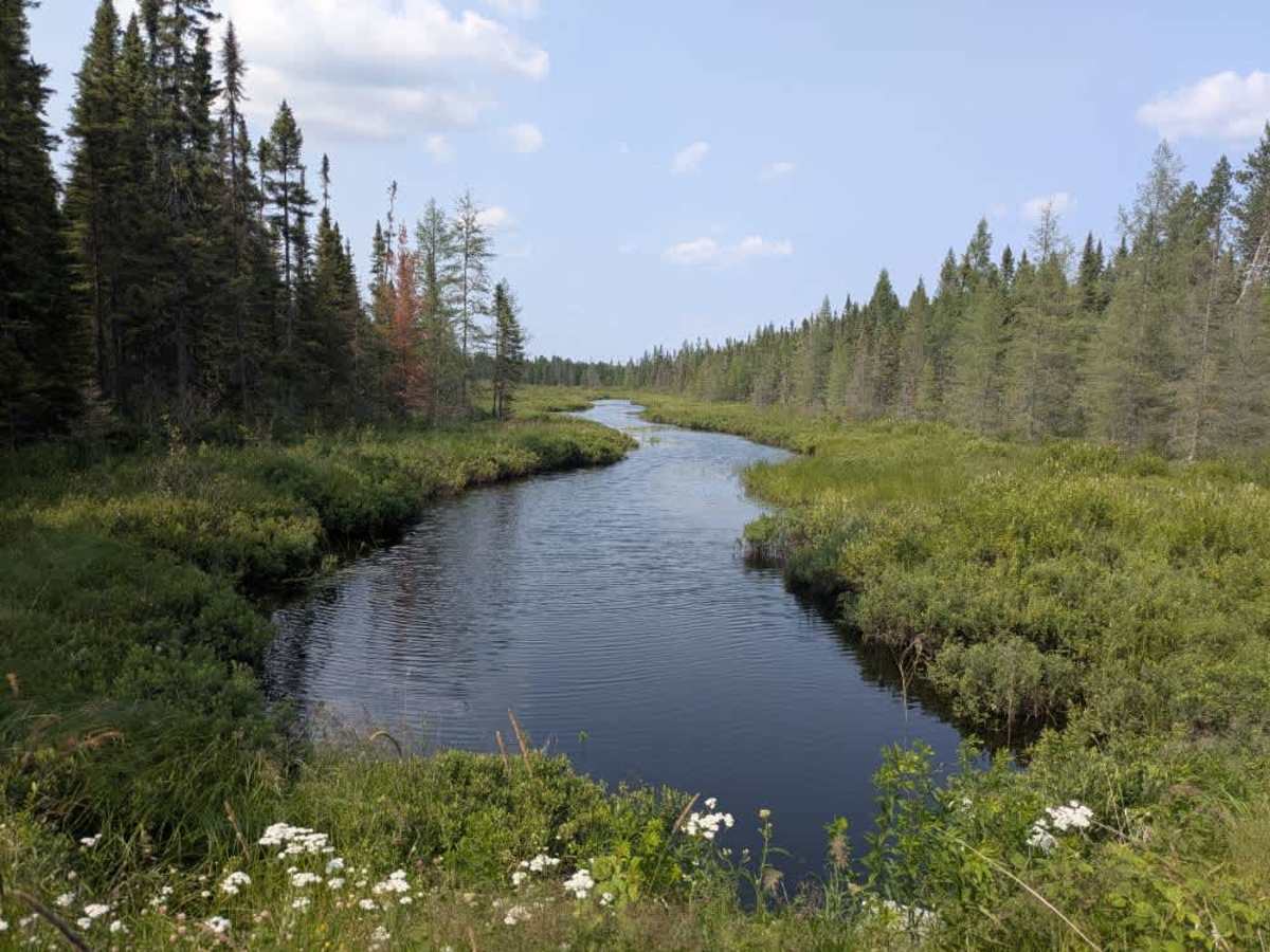 Plum Lake trail photo