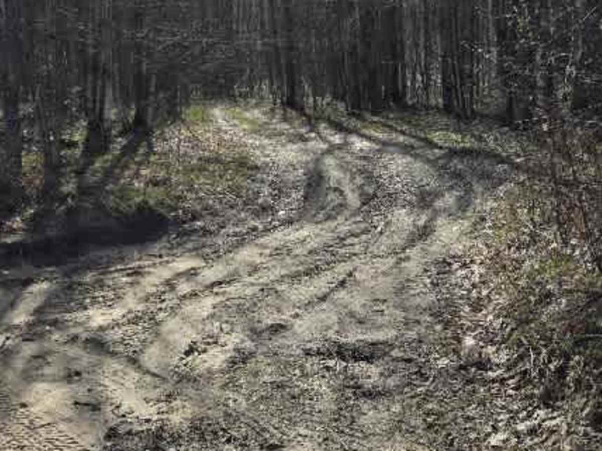 Fiel Road Crossing trail photo