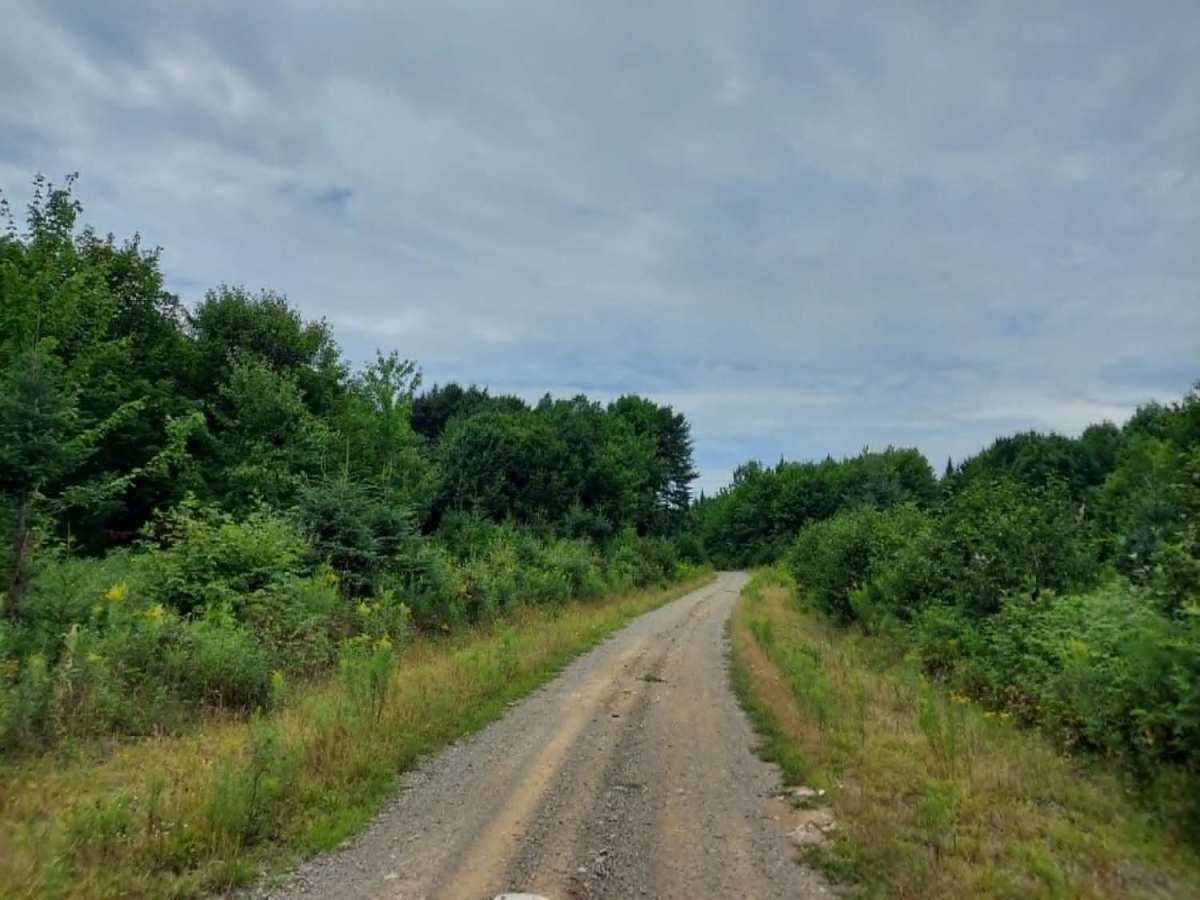 Cut Off Road photo 3