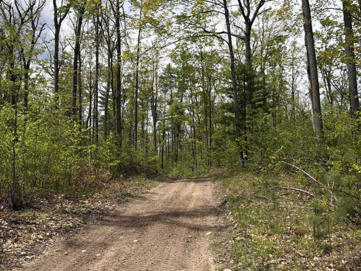 Big Wolf Lake trail photo