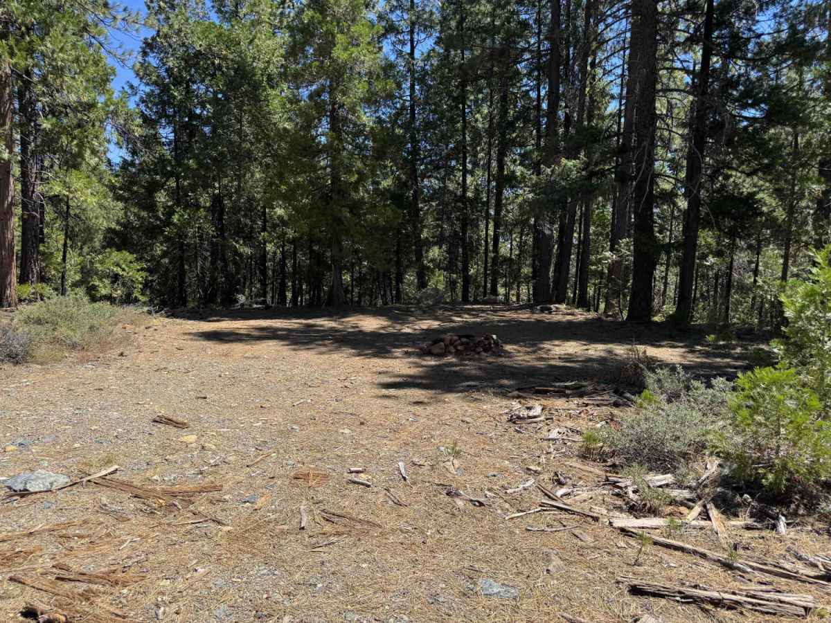 North Fork - FS 41N53 photo 3