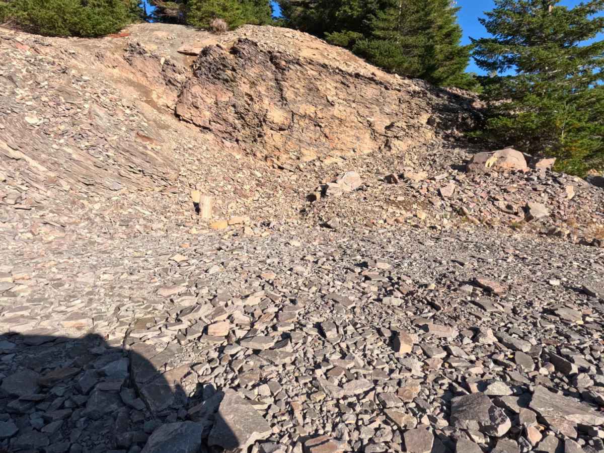 Dollar Quarry trail photo