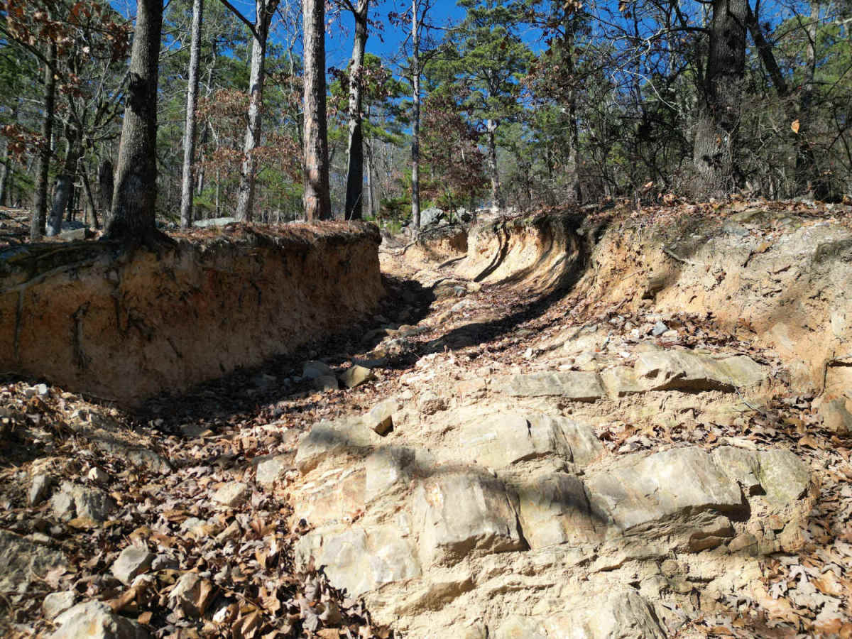 D6 Quicksand photo 6