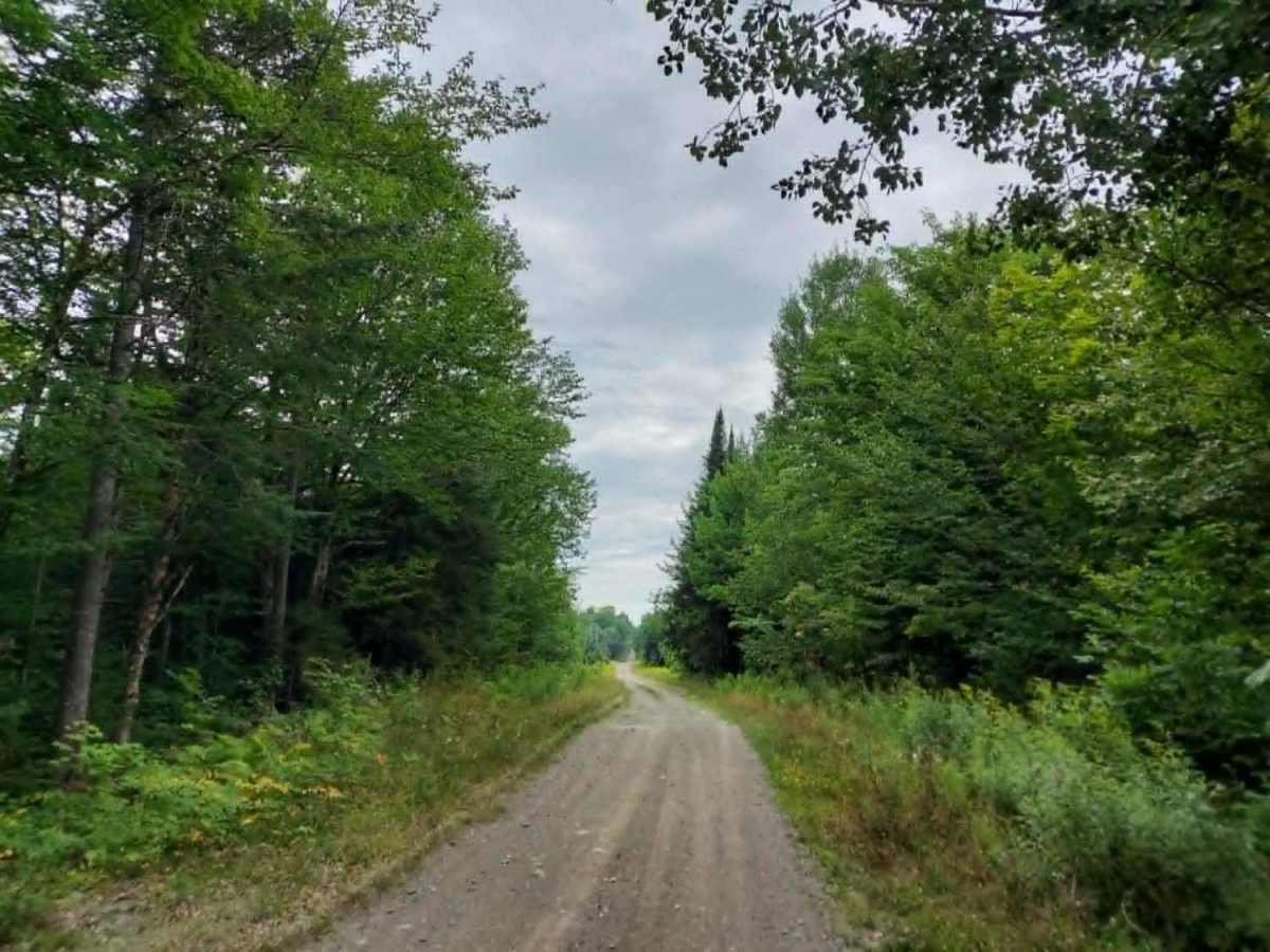 Bear Brook Road trail photo