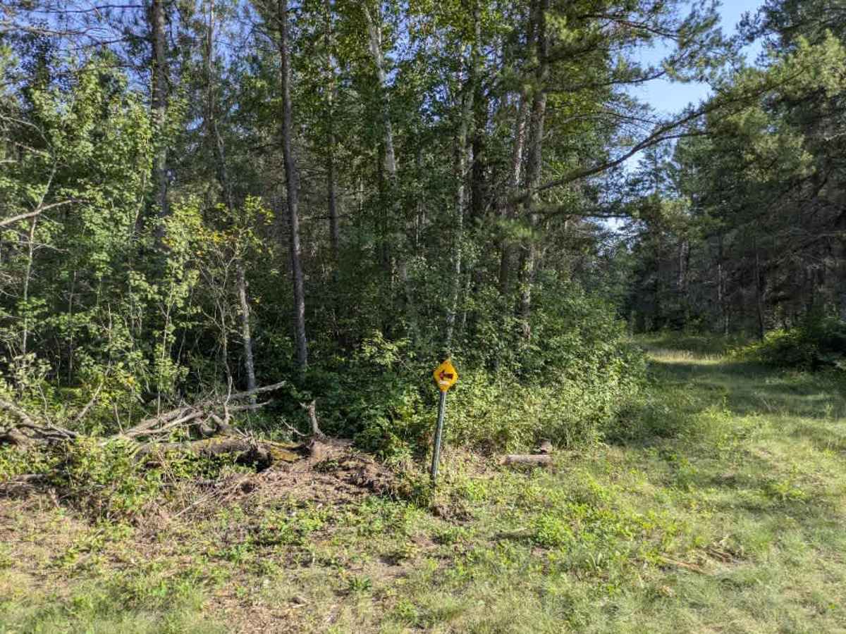 Ditch 10 photo 6