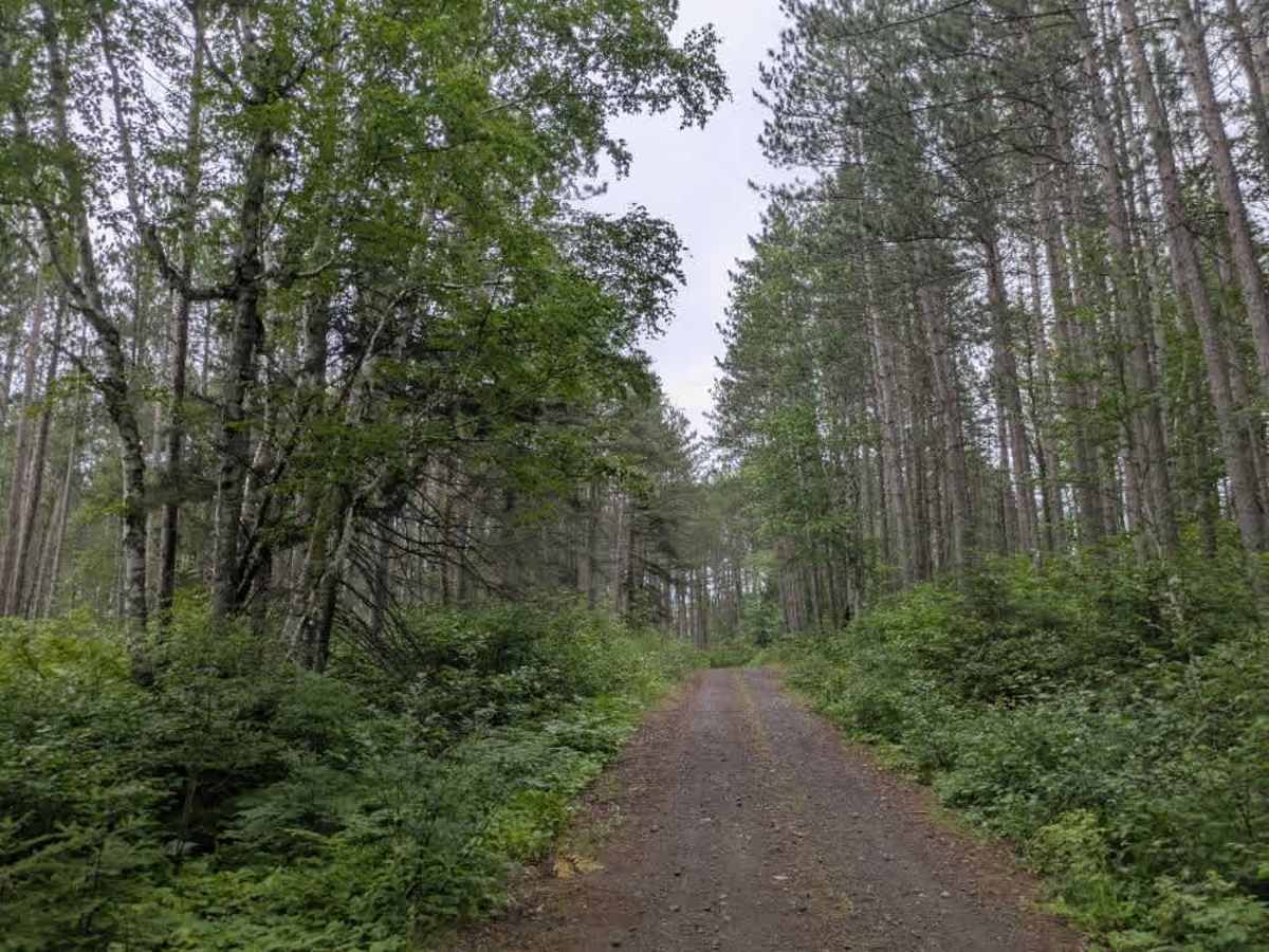 Bandana Trail photo 4